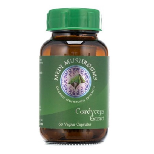 Medicinal Mushrooms- Cordyceps -Elixir of Life