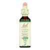 Bach Centaury 20ml