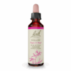 Bach Willow 20ml