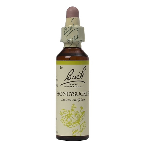 Bach Honeysuckle 20ml