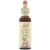 Bach Impatiens 20ml