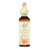 Bach Red Chestnut 20ml