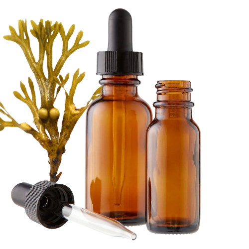 Bladderwrack (Fucus vesiculosus) Herbal Tincture