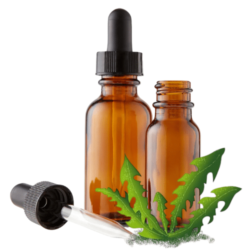 Dandelion Leaf (Taraxacum officinale) Herbal Tincture