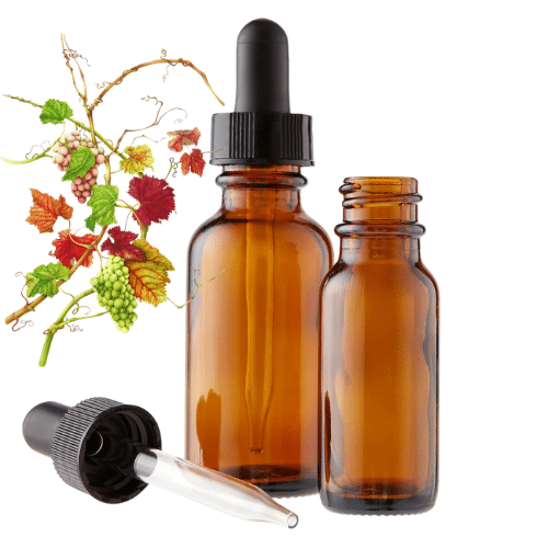 Vitis vinifera (Grape Vine) Herbal Tincture