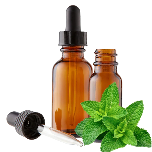 Peppermint (Mentha piperita) Herbal Tincture