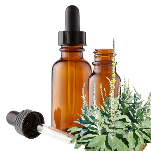 Mullein Leaf (Verbascum thapsus) Herbal Tincture