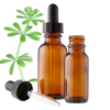Cleavers (Galium aparine) Herbal Tincture