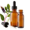 Poke Root (Phytolacca americana) Herbal Tincture