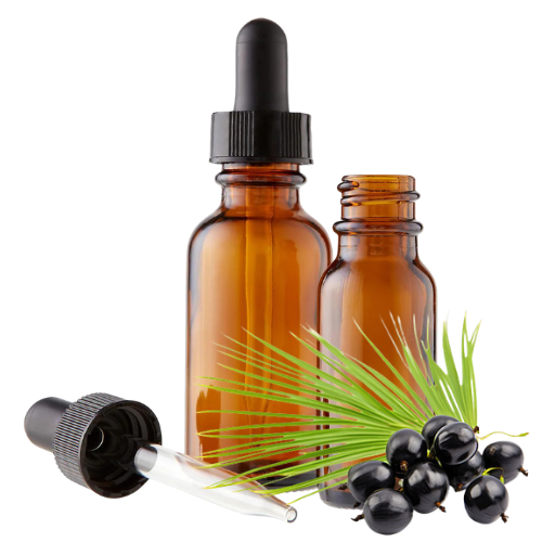Saw Palmetto (Serenoa repens) Herbal Tincture