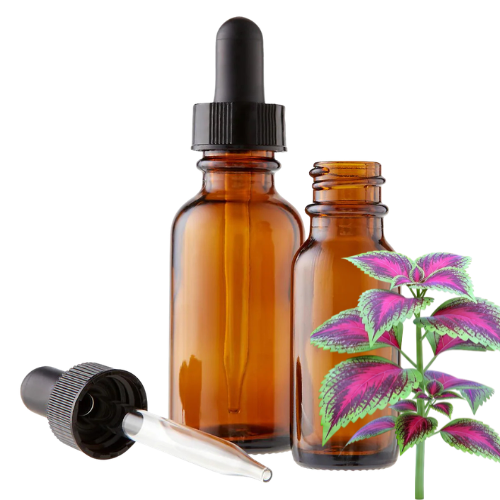 Coleus forskohlii Herbal Tincture