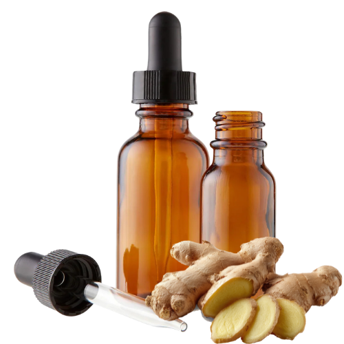 Ginger (Zingiber officinale) Herbal Tincture