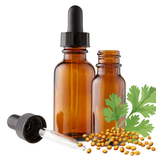Coriander Seed (Coriandrum sativum)