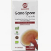 CHINAHERB Reishi Mushroom Spore Powder (Lingzhi)