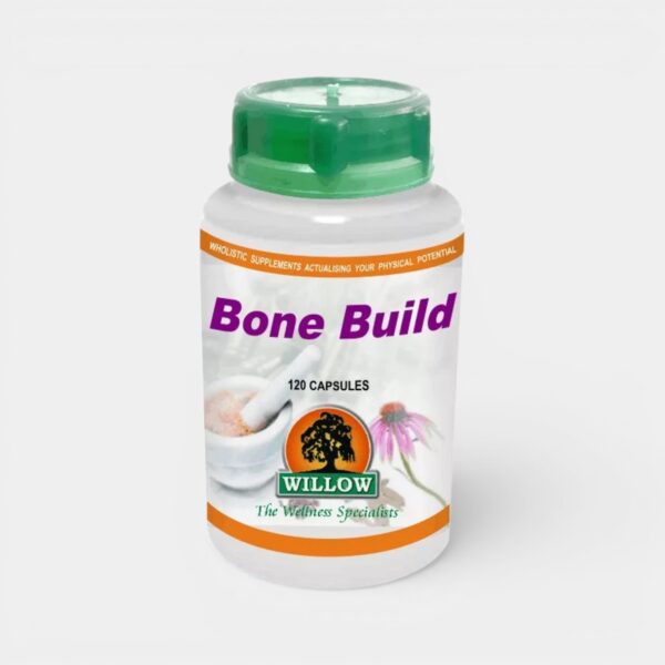 Willow Bone Build