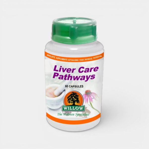 Willow Liver Care Pathways