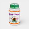 Willow Red Clover