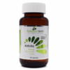 Neogenesis Arthrite