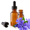 Periwinkle (Vinca minor) Herbal Tincture