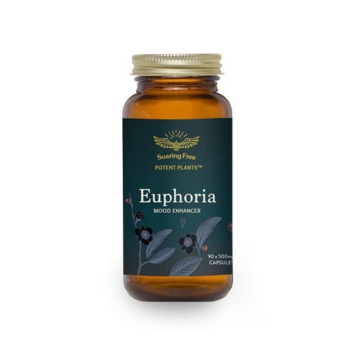 Soaring Free Euphoria