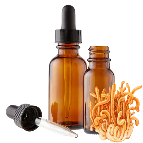 Cordyceps (Cordyceps sinensis) Herbal Tincture