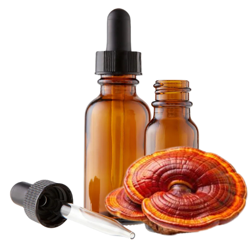Reishi (Ganoderma lucidum) Herbal Tincture