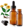 Elecampane (Inula helenium) Herbal Tincture