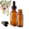 Sausage Tree (Kigelia africana) Herbal Tincture