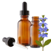 Bugleweed (Lycopus virginicus) Herbal Tincture
