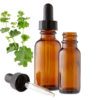 Lady’s Mantle (Alchemilla vulgaris) Herbal Tincture