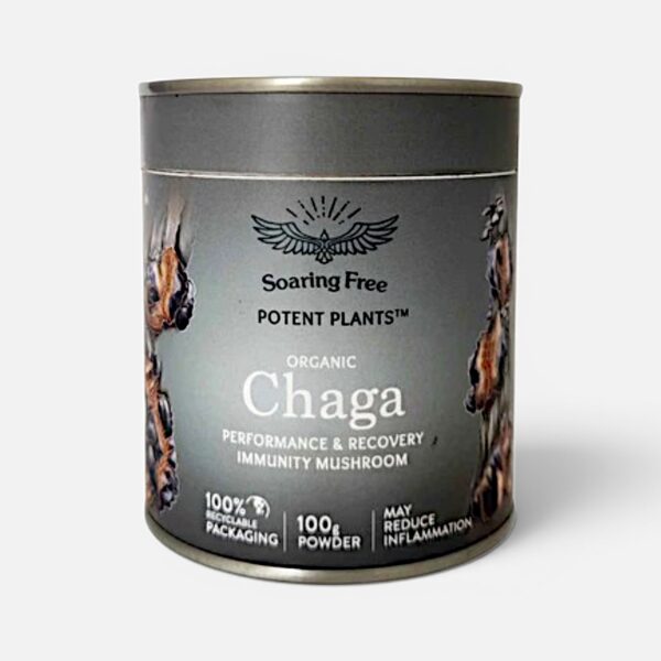 Soaring Free Organic Chaga Mushroom Powder