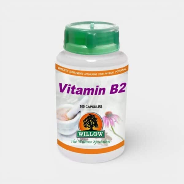 Willow Vitamin B2 100mg