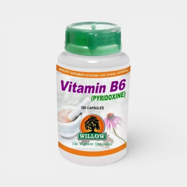 Willow Vitamin B6 100mg