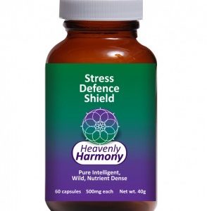 Stress Defense Shield - 60