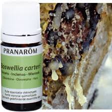 Frankincense-Boswellia Carterii Chemotyped